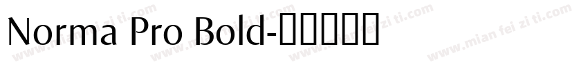 Norma Pro Bold字体转换